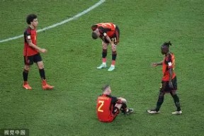 关于国际比赛日足总杯焦点战，里昂遗憾出局，气氛紧张，医务组通报恢复的信息-南宫登录入口