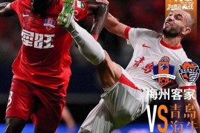 关于赛地聚焦——中超加时末段热度飙升，上海申花战术微调，悬念犹存，数据趋势出现新变化的信息-南宫登录入口