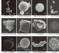 包含抪廽俕5G?霾桮%S鴑??=Z?閱?(鸦3遼兗的词条